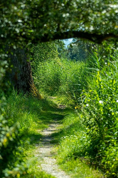 Schöne  Spaziergänge und Radtouren in frischer ,gesunder Natur.